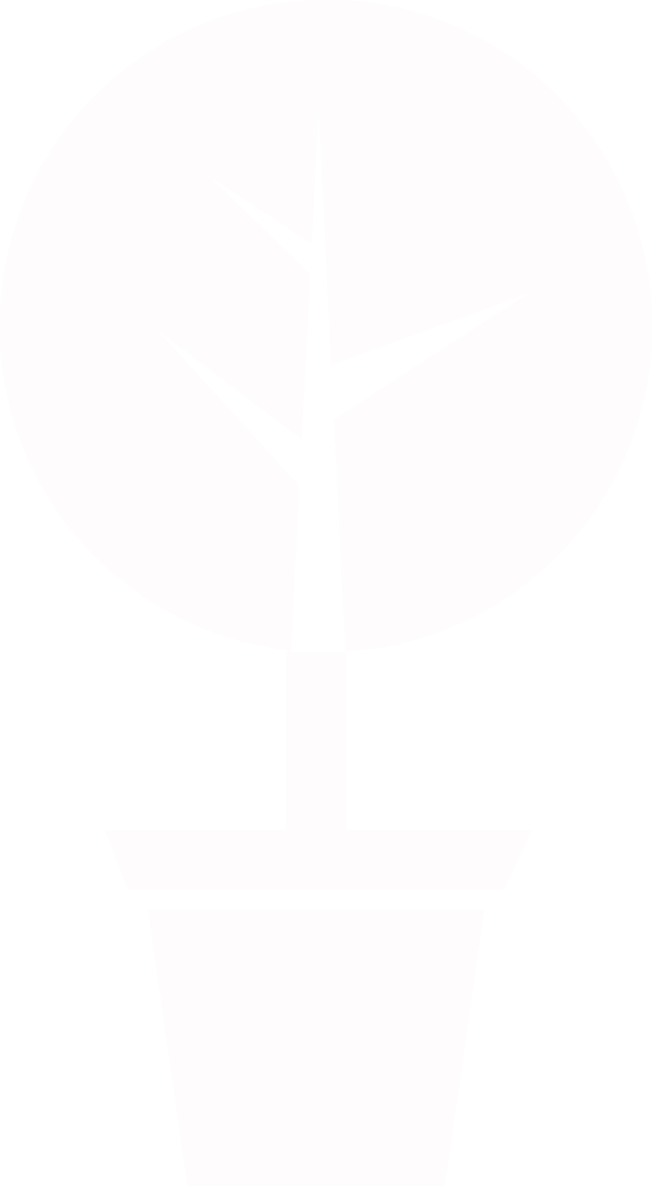 Зимний сад