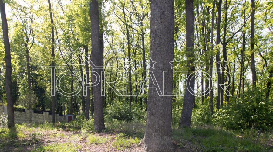 Продам ділянку 14 соток у котеджному селищі Роял Клаб | Toprealtor