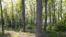 Продам ділянку 14 соток у котеджному селищі Роял Клаб | Toprealtor 5