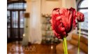 Продам 2-ярусну 5-кімн. квартиру в історичному особняку на вул. Алчевських | Toprealtor 4